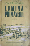 LUMINA PRIMAVERII-ION CALUGARU