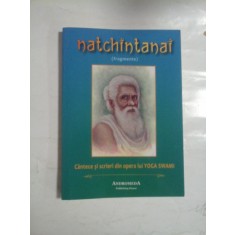 NATCHINTANAI (FRAGMENTE) - YOGA SWAMI