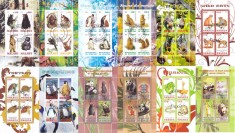 COLITE 12 buc. diferite - ANIMALE