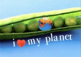 Felicitare - Coquille / I love my planet | Nouvelles Images