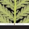 Nature and Selected Essays
