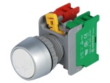 Comutator Acționat Prin Apăsare 22mm 1 NC NO