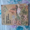✅ &Icirc;NT&Acirc;MPLĂRI DIN GRĂDINA MEA de ANA BLANDIANA cu ILUSTRAȚII DE DOINA BOTEZ EDITURA ION CREANGĂ 1986 PREȚ SIMBOLIC CELE MAI BUNE CĂRȚI, Ion Creanga