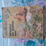 &Icirc;NT&Acirc;MPLĂRI DIN GRĂDINA MEA de ANA BLANDIANA cu ILUSTRAȚII DE DOINA BOTEZ EDITURA ION CREANGĂ 1986