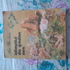 ✅ &Icirc;NT&Acirc;MPLĂRI DIN GRĂDINA MEA de ANA BLANDIANA cu ILUSTRAȚII DE DOINA BOTEZ EDITURA ION CREANGĂ 1986 PREȚ SIMBOLIC CELE MAI BUNE CĂRȚI
