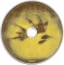 Rooster - Rooster, CD - 4