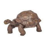 Cumpara ieftin Figurina Testoasa Galapagos