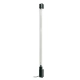 Neon color Plasma Neon-Light PNL-58 12V - 58cm - Albastru Garage AutoRide