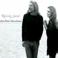 Raising Sand - Vinyl | Robert Plant, Alison Krauss