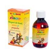 Sirop din Muguri de Brad, Miere si Propolis 200ml