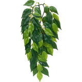 Ficus silk small - plantă pentru terarium, 45cm, FLUVAL