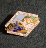Insigna Festivalul Tineretului Hunedoara 1956