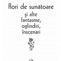 Flori de sunatoare si alte fantasme, oglindiri, inscenari - Theodor Vasilache