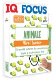 Cumpara ieftin Animale &bull; nivel Junior