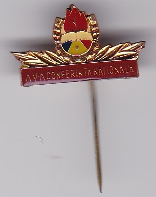 INSIGNA PIONIER A V-a conferinta nationala foto