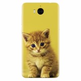 Husa silicon pentru Huawei Y5 2017, Baby Kitten