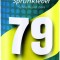 Spray Spuma Adeziv 79, Stanger 500ml