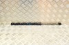 Amortizor haion dreapta VW ID.3 E11 2021 OEM: 10A827550A 13731818