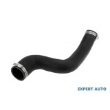 Furtun aer Land Rover RANGE ROVER SPORT (LS) 2005-2013 #1