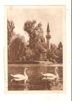 Carte Postala Bucuresti parcul libertatii foto