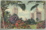 AD 341 C. P. VECHE - HOTEL DISTRICT AS SEEN FROM BAYFRONT PARK, MIAMI-S.U.A.1947, Circulata, Franta, Printata