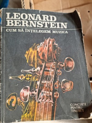 Leonard Bernstein - Cum sa intelegem muzica. Concerte pentru tineret foto