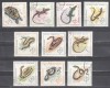 A11 TW 4 - 1965 - Reptile, Fauna, Stampilat