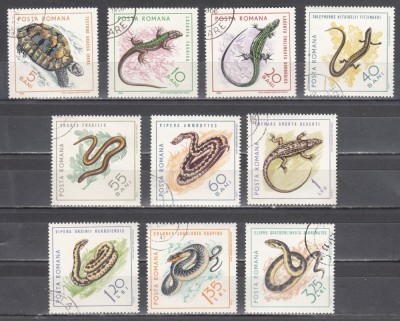 A11 TW 4 - 1965 - Reptile foto