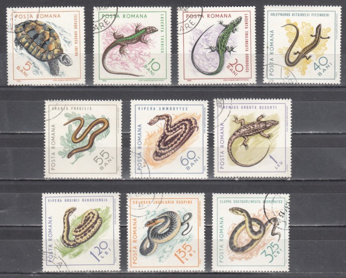 A11 TW 4 - 1965 - Reptile
