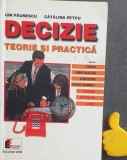 Decizie. Teorie si practica. Ion Paunescu, Catalina Petcu