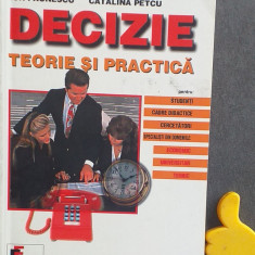 Decizie. Teorie si practica. Ion Paunescu, Catalina Petcu