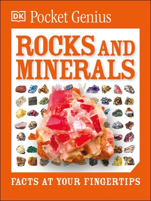 Pocket Genius: Rocks and Minerals foto