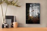 Tablou Canvas, "Toamnă misterioasă &icirc;n pădurea &icirc;nfrunzită", Mister, Frunziș, Ceață, Copaci, Toamnă, Liniște, Natură, Pădure, &Icirc;ntuneric, Solitudine, 26