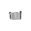 Intercooler Audi A4 Cabriolet 8H7 B6 8He B7 Denso Dit02002