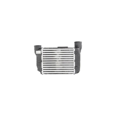 Intercooler Audi A4 Cabriolet 8H7 B6 8He B7 Denso Dit02002 foto