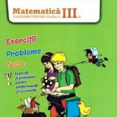 Matematica - Clasa 3 - Culegere - Ion Petrica