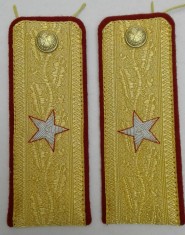 Epoleti de general de brigada foto