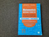 Valentin Nicula, Petre Simion - Matematica. Clasa a XI-a. Breviar teoretic M1