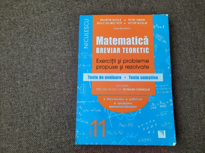 Valentin Nicula, Petre Simion - Matematica. Clasa a XI-a. Breviar teoretic M1