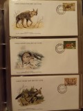 FAUNA WWF - 3 PLICURI PRIMA ZI