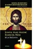 Sfantul Mare Mucenic Ioan cel Nou de la Suceava - Silvan Theodorescu