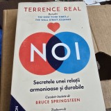 Noi. Secretele unei relatii armonioase si durabile - Terrence Real