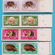 TIMBRE ROMANIA 1966 L.P. 639 CRUSTACEE SI MOLUSTE SERIE IN PERECHE MNH