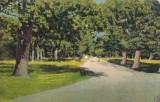 Alexandria. Parcul orasului (Aleia) (1927)