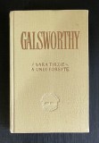Vara T&acirc;rzie a unui Forsyte - John Galsworthy, 1958, Editura de Stat, Roman Beletristica, Carte Cartonata