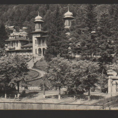 CPIB 21426 - CARTE POSTALA - SLANIC MOLDOVA. VEDERE DIN PARC, RPR, 1957