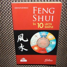 FENG SHUI IN 10 LECTII SIMPLE