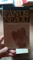 Ingerul a strigat &amp;amp;#8211; Fanus Neagu foto