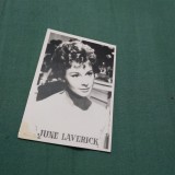 Cumpara ieftin FOTO TIP 9/6CM JUNE LAVERICK