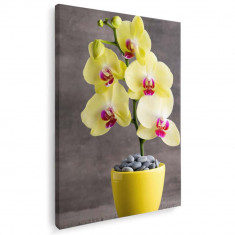 Tablou floare orhidee galbena Tablou canvas pe panza CU RAMA 80x120 cm